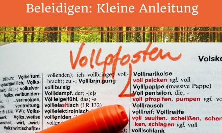 Vollpfosten und mehr – Beleidigungen in der Politik