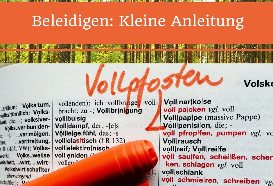 Vollpfosten und mehr – Beleidigungen in der Politik
